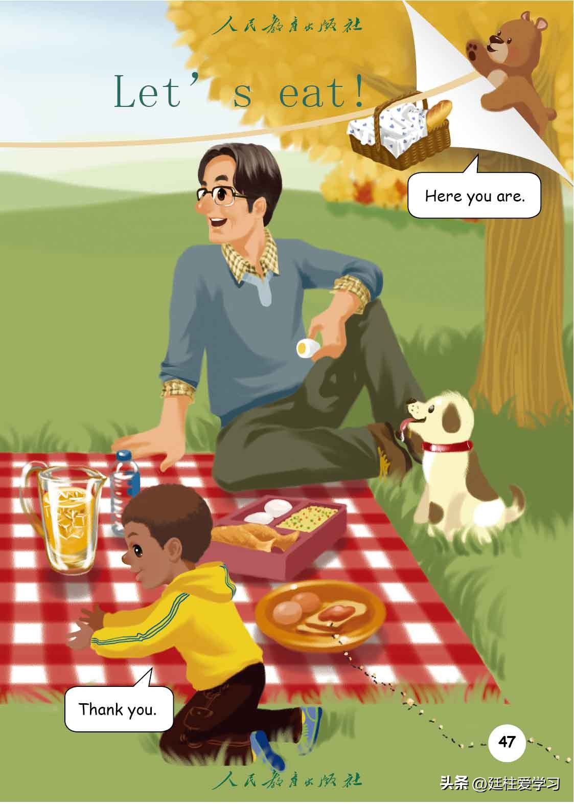 英语PEP三年级上册,三年级起点和三年级pep有什么区别