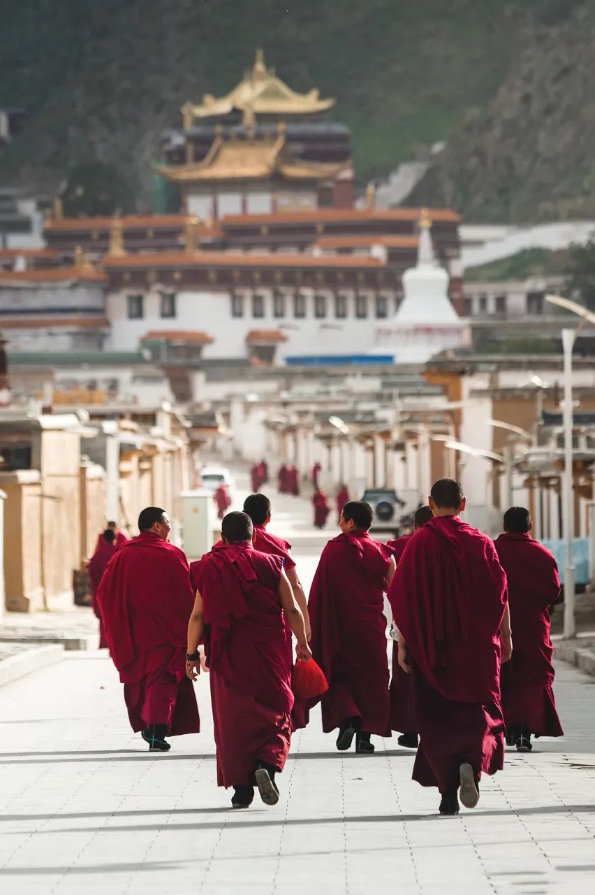 都去挤*疆新**？我选这个20°C的西北秘境