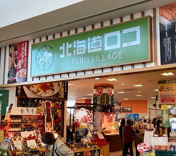 北海道购物母婴用品,北海道十大最好的购物商场