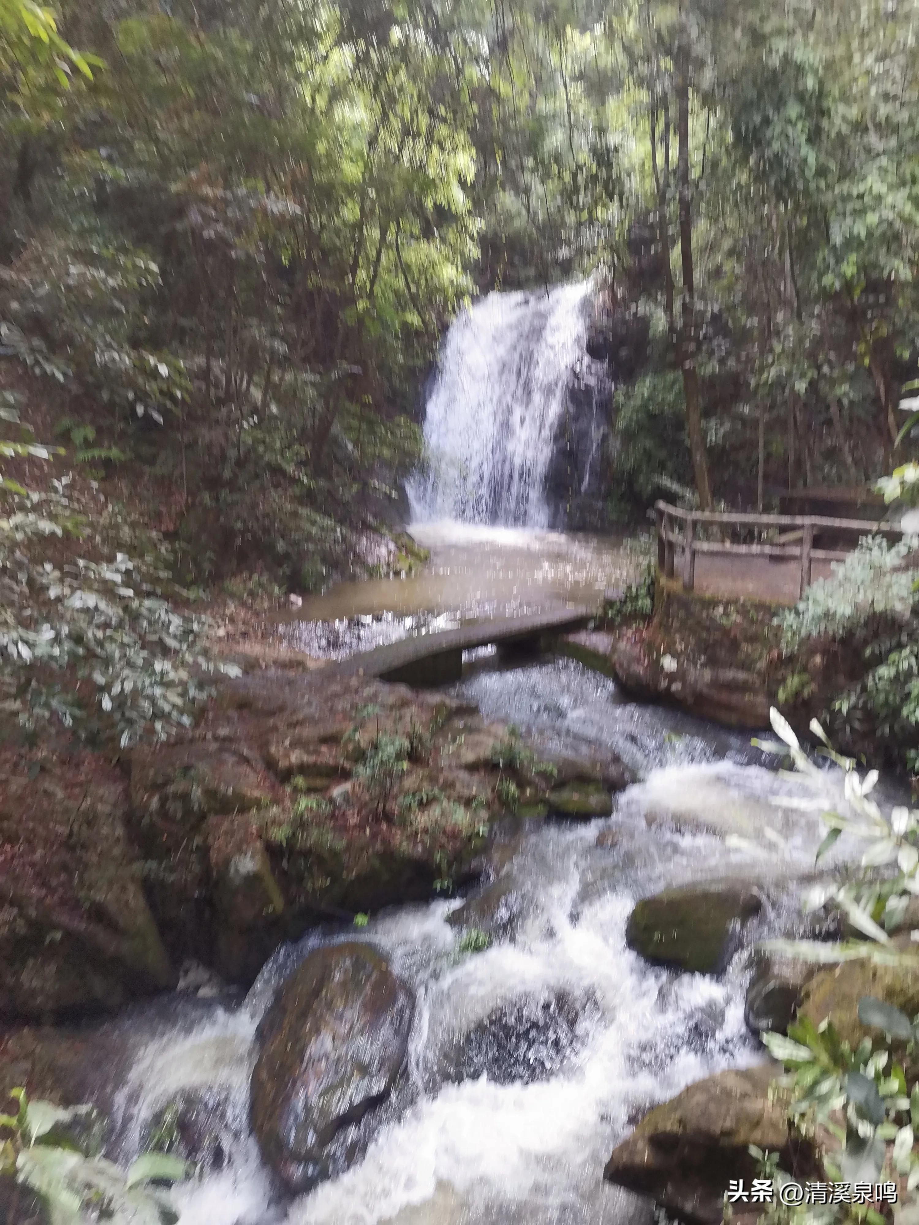 白水寨亲瀑台,白水寨瀑布最佳观景台多高