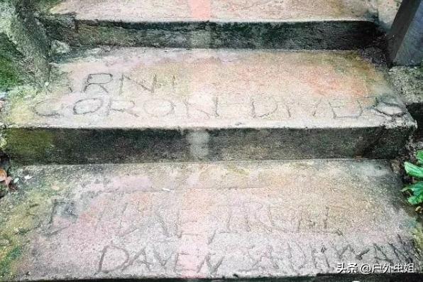 旅行团无人海岛,海岛旅游团自由行