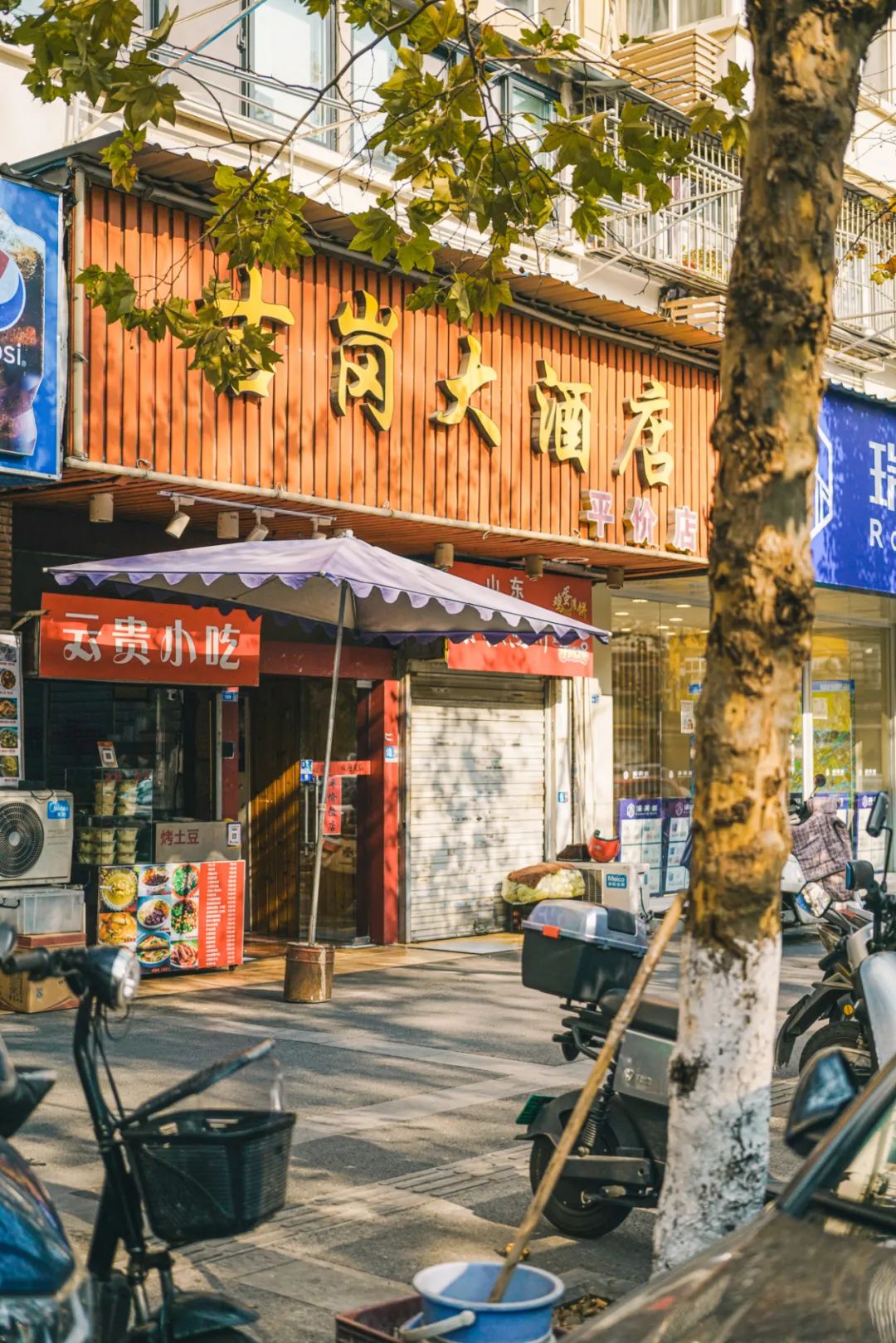 南京人的第一口奶---回到卫岗