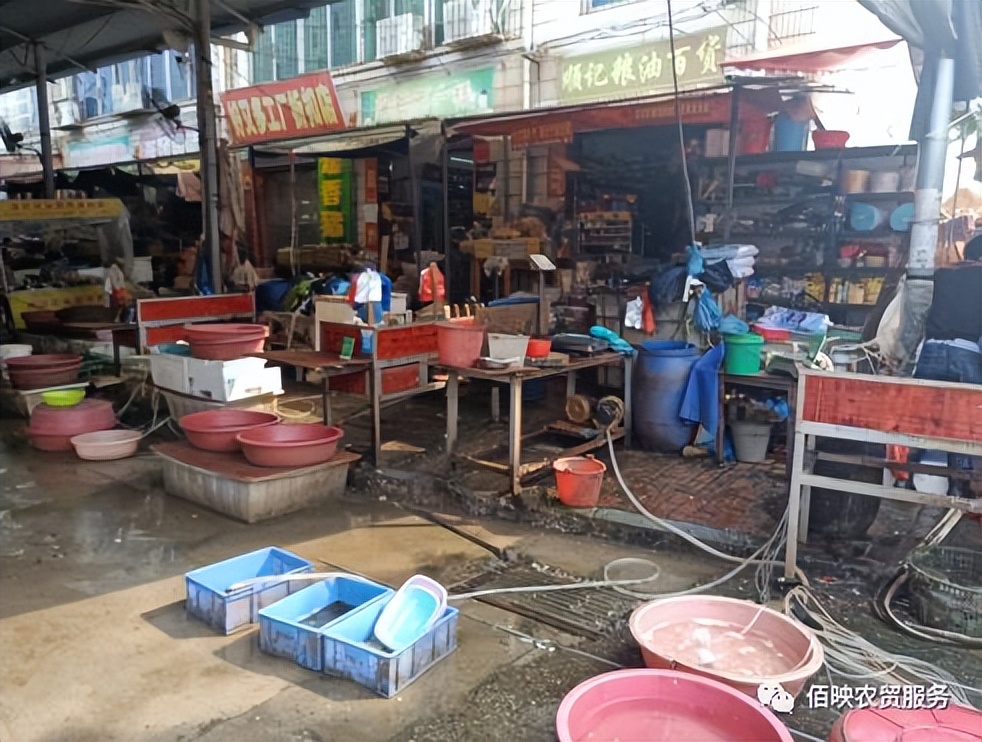 杭州一鸿农贸市场设计,农贸市场效果图设计哪家好