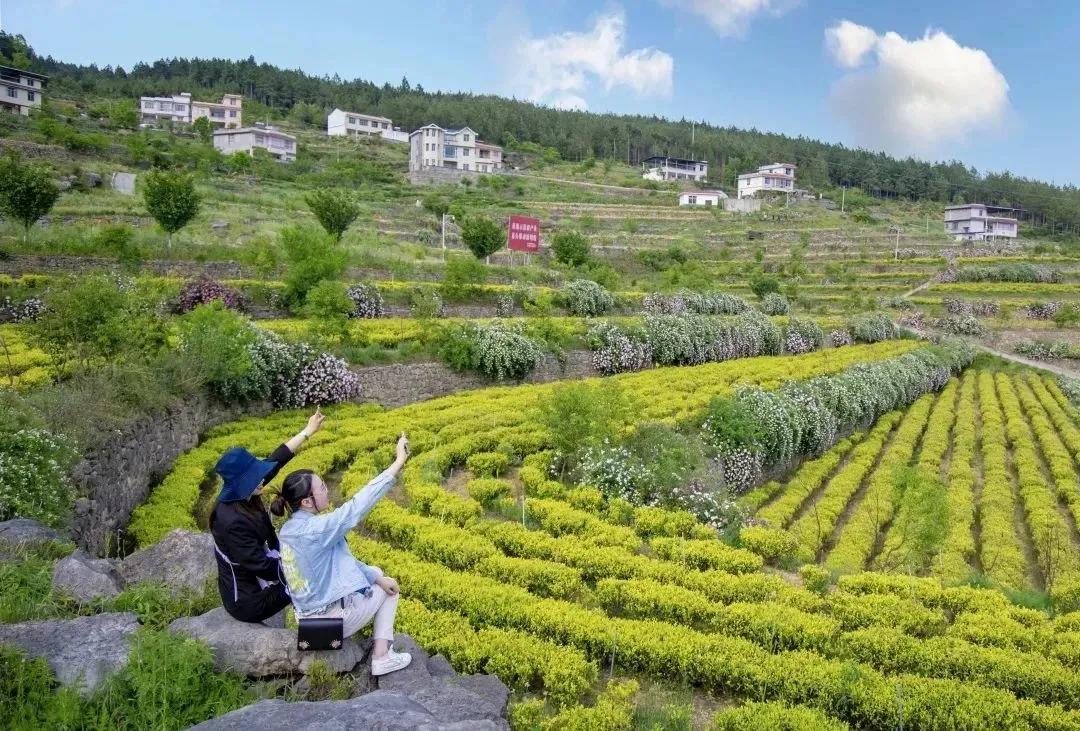 广元秦巴秘境,广元适合探险的神秘地方