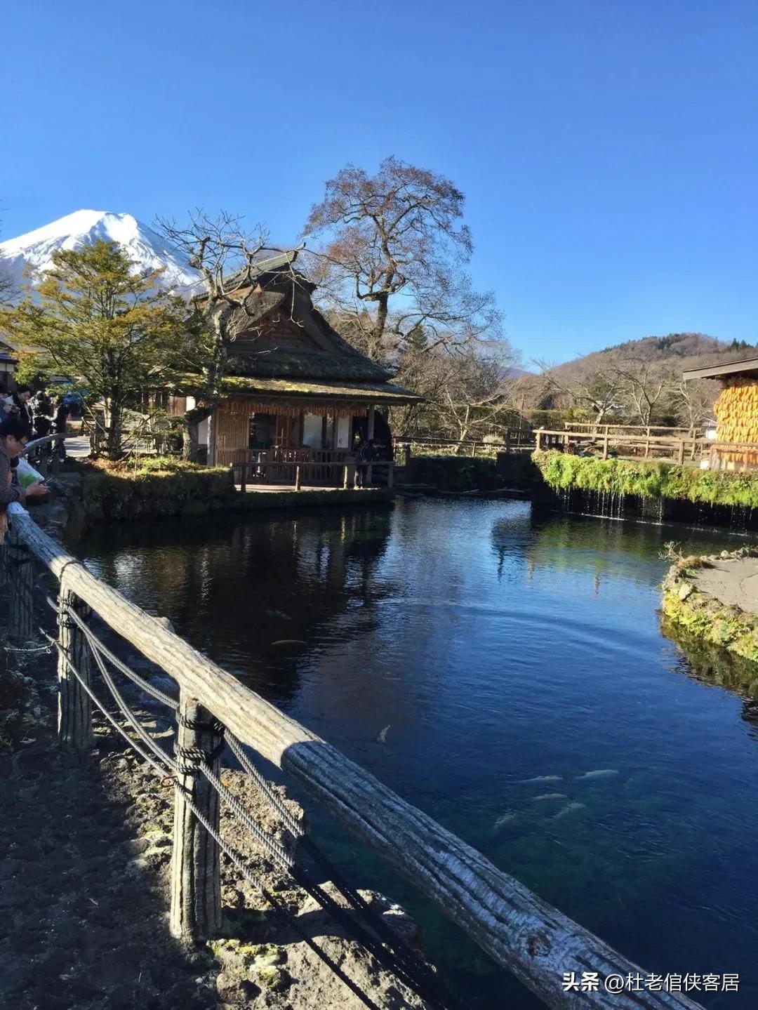 日本忍野八海值得去吗,忍野八海游玩