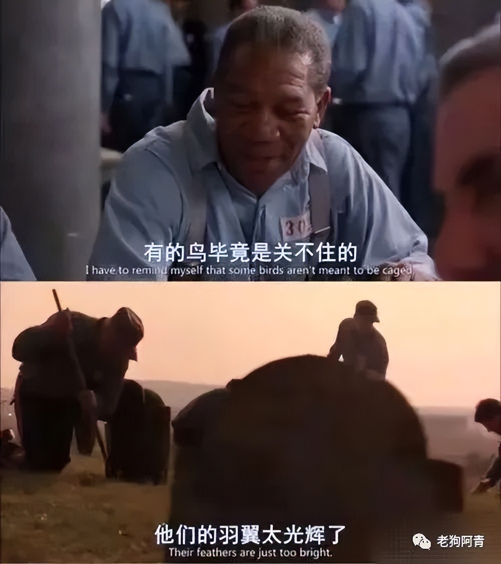 我仍然摆烂，我仍然踌躇满志