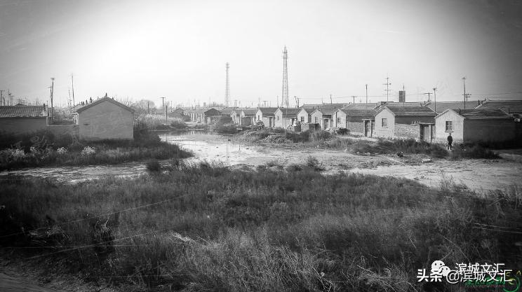 塘沽记忆,记忆中的张老师