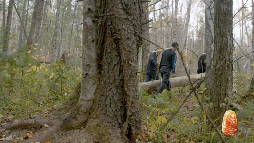 编导手记|勃利：厚积薄发东北大地焕新颜——吕明月