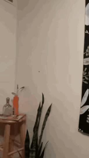 每日一笑游泳教学视频,每日一笑钓鱼片段