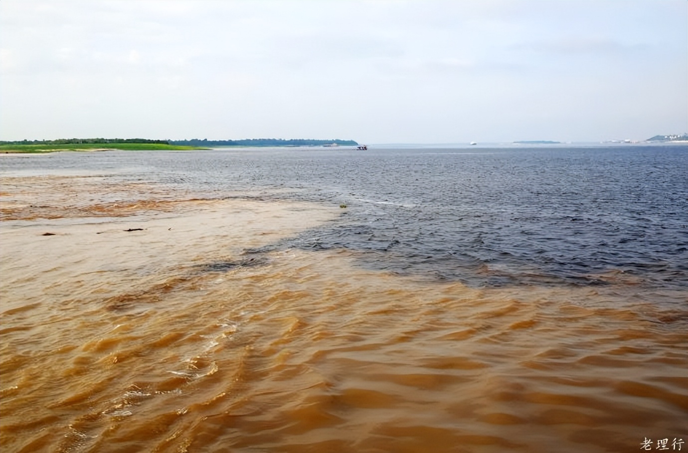 南美四国之旅,巴西亚马逊之行