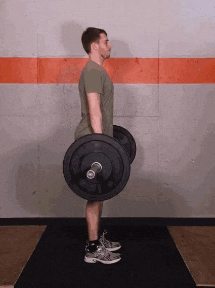 家庭健身房器械如何搭配,健身房器械使用教程女生