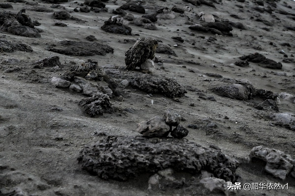 登上地球看月亮,登上地球之巅