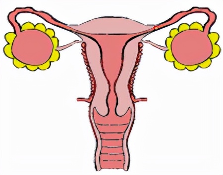怕她不来又怕她乱来的文案,怕她不来又怕她乱来出处