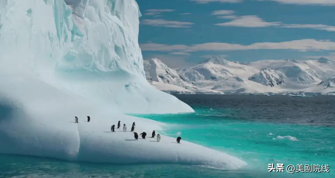 最新王炸美剧,王炸开局美剧