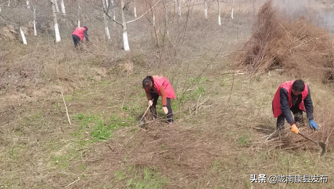 【新时代文明实践】代整撂荒地隔离不隔爱—康县平洛镇关爱服务再“升级”！
