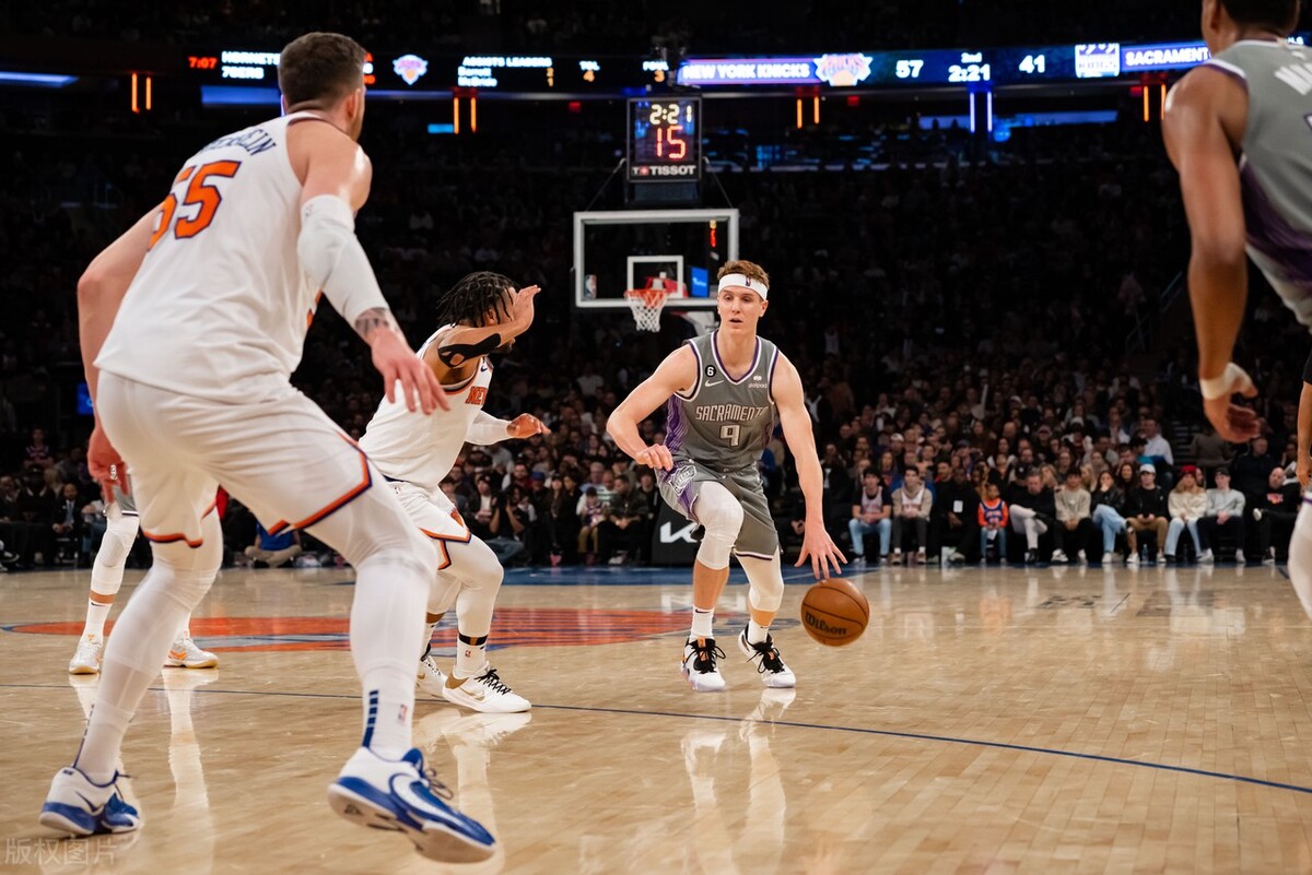 本赛季一鸣惊人的六大球星,哈利波顿低薪高能,福克斯华丽转身