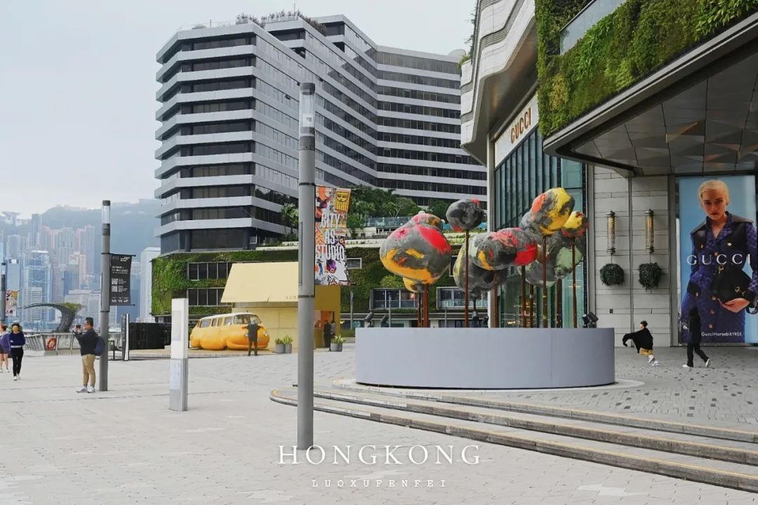 去香港旅游跟团需要签证吗,香港跟团旅游避坑攻略