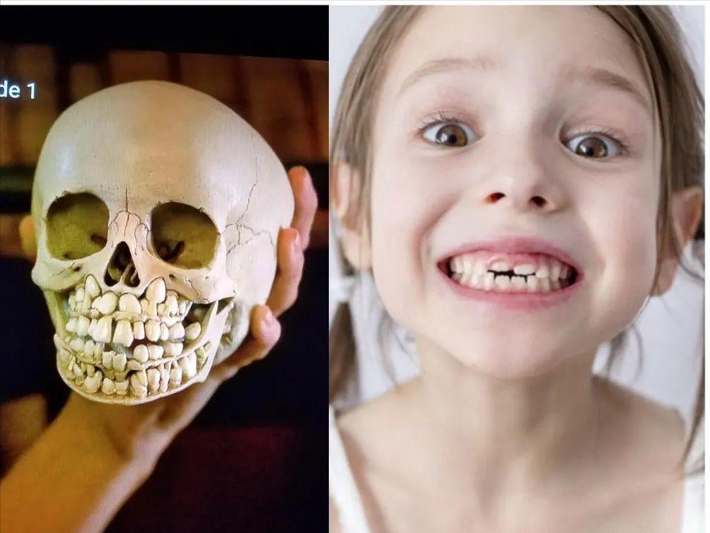 十大毁三观的真相,十大毁三观真相