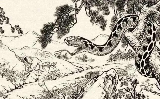 聊斋故事寻仙救母,聊斋狐仙救落难公子