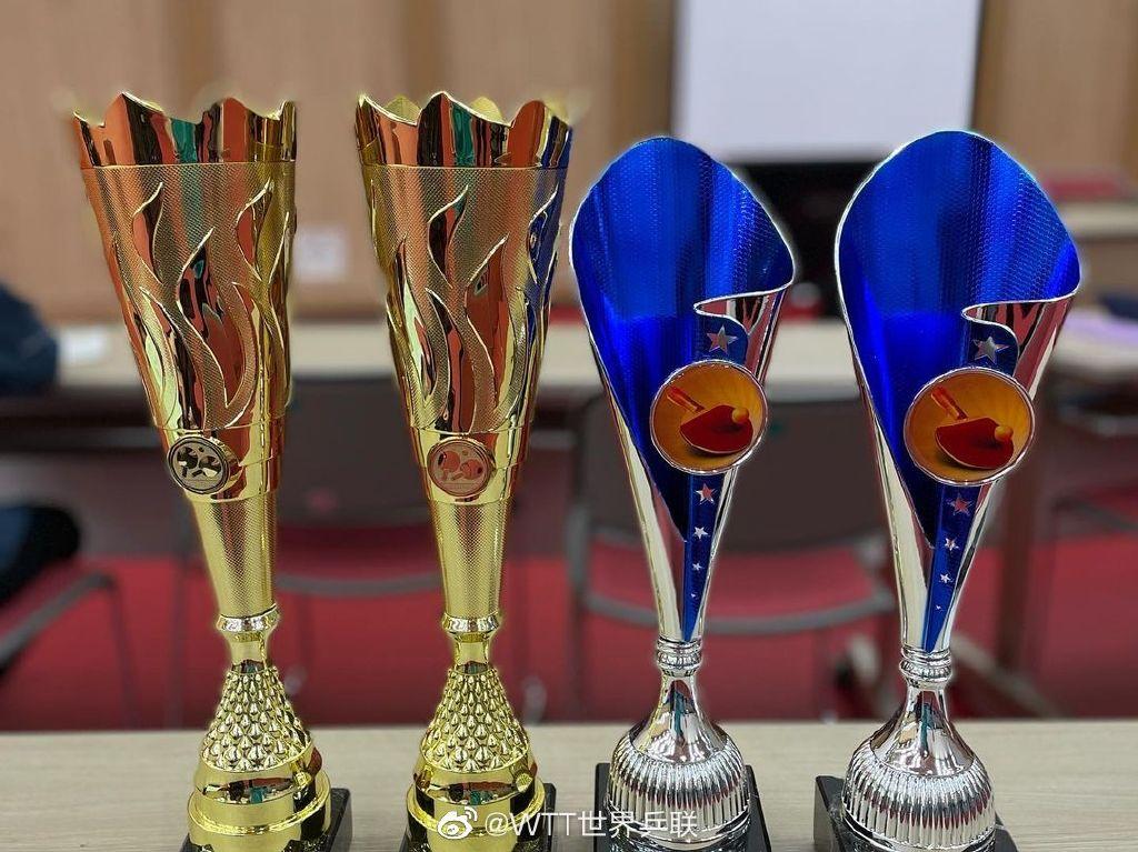 张本智和夺冠获奖金,张本智和获单打冠军
