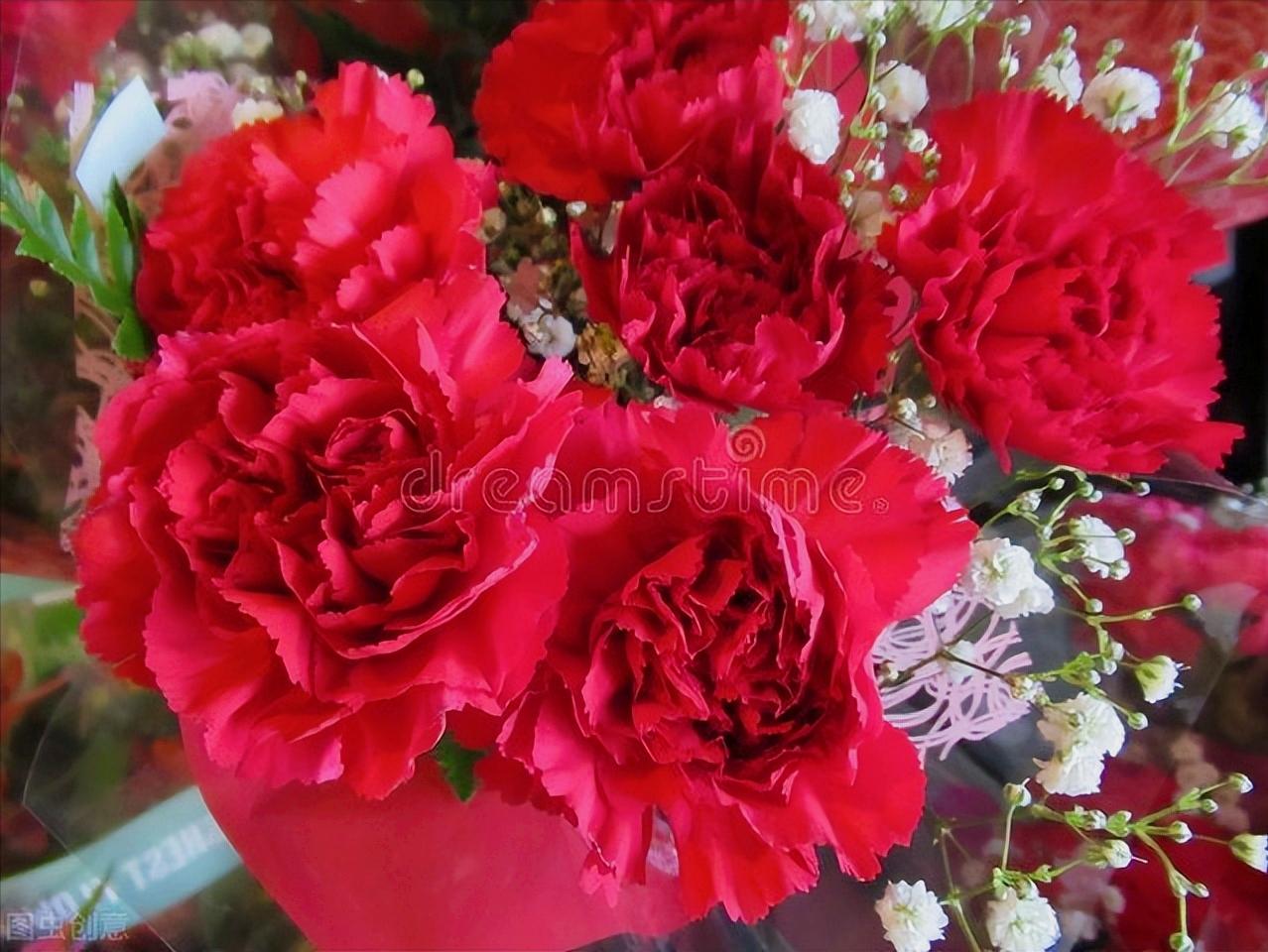 感恩母亲节祝自己节日快乐,母亲节感恩祝福词妈妈我爱你