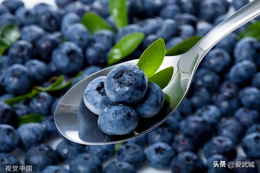 吃蓝莓和吃胡萝卜哪个对视力更好,缓解视力吃蓝莓叶黄素有效果吗