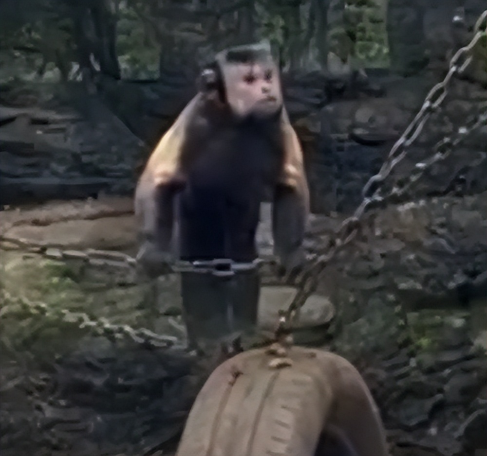 鎾炶劯鏂硅劯鐚村瓙鐨勫コ缃戠孩,鏂硅劯鐚村瓙妯′豢浜虹殑琛ㄦ儏