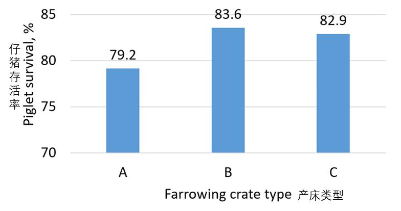 仔猪在产床需要看着吗,产床对仔猪有什么好处