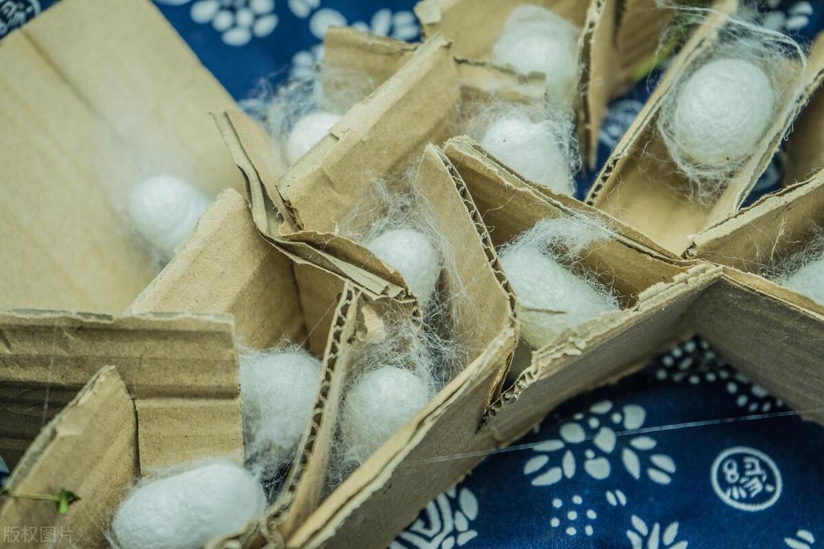 纺织材料与应用专业就业前景,纺织科学与工程就业前景