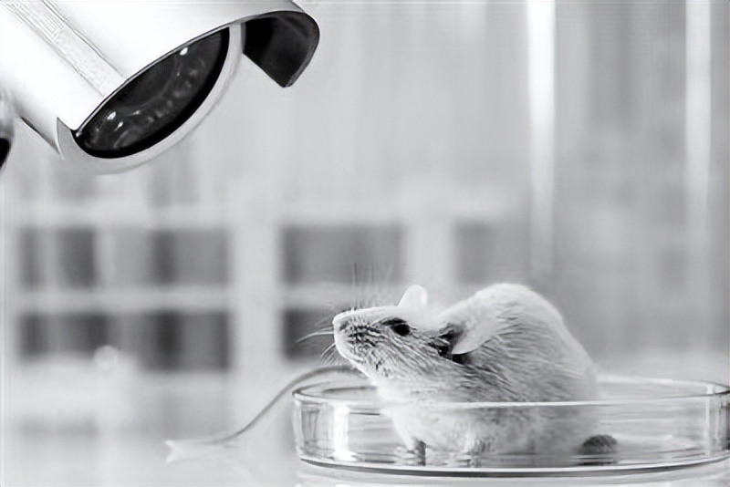 家有水杯请注意！“夺命杯”曾遭央视多次曝光，热水进“毒水”出