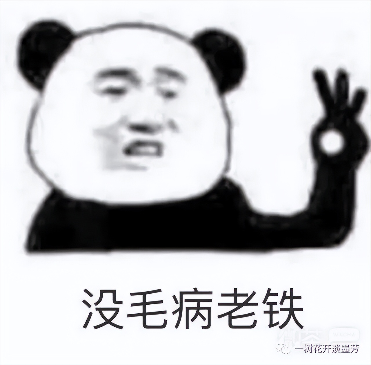 每天被你捧在手心里,每天被你滋养