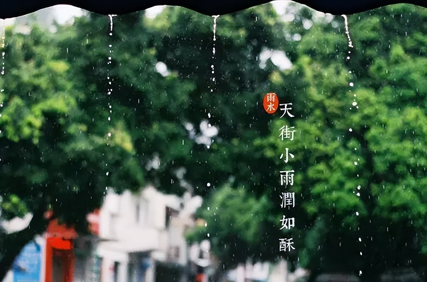 存茶丨雨水时节，家中的茶叶要如何存放