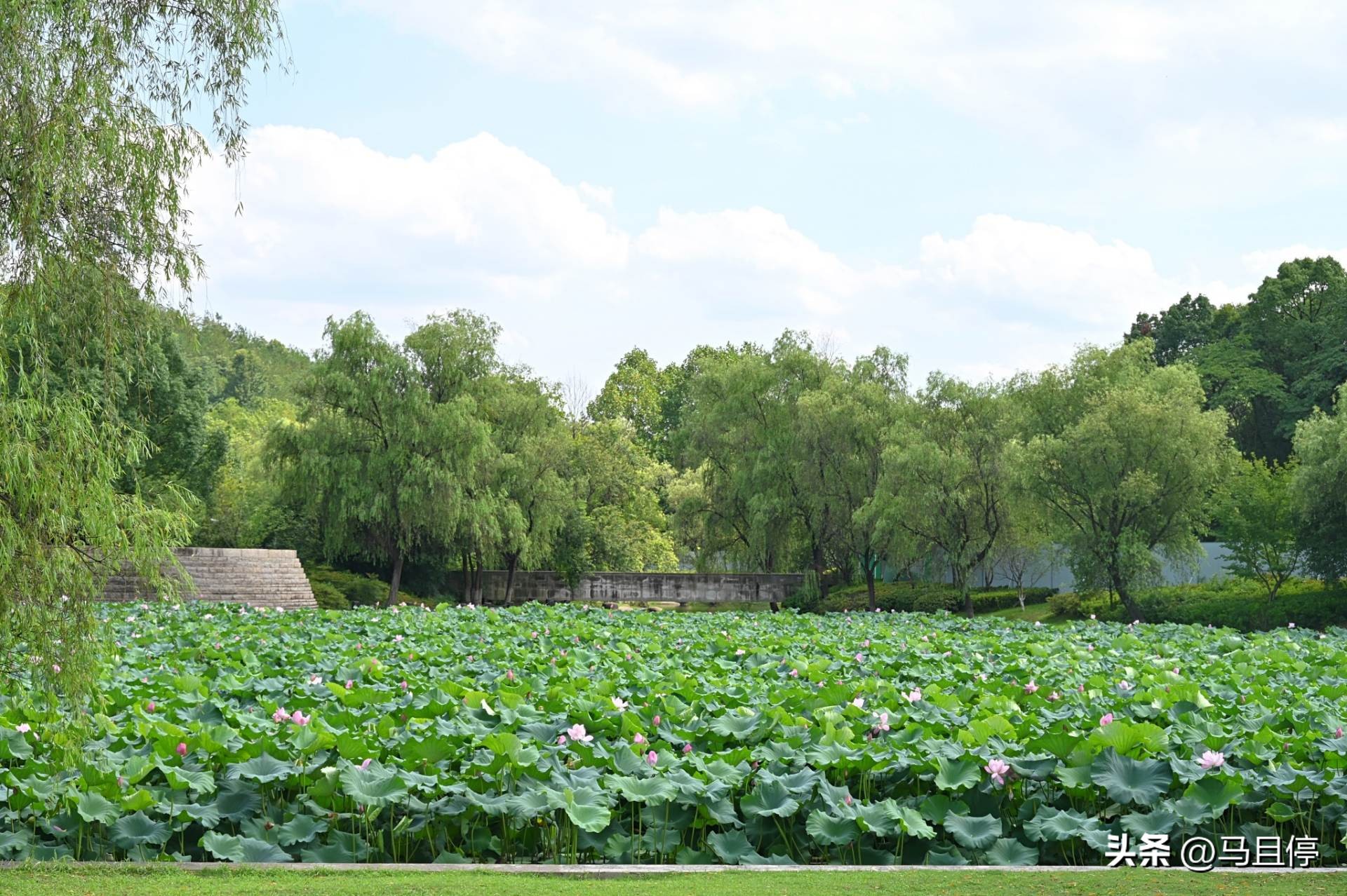 良渚古城5000年前的城,良渚古城5000年文明