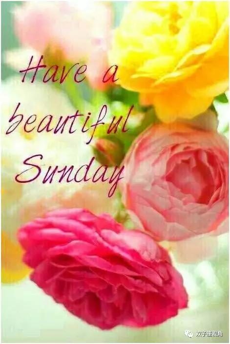 beautifulsunday纯音乐,美丽的星期天英文歌教程