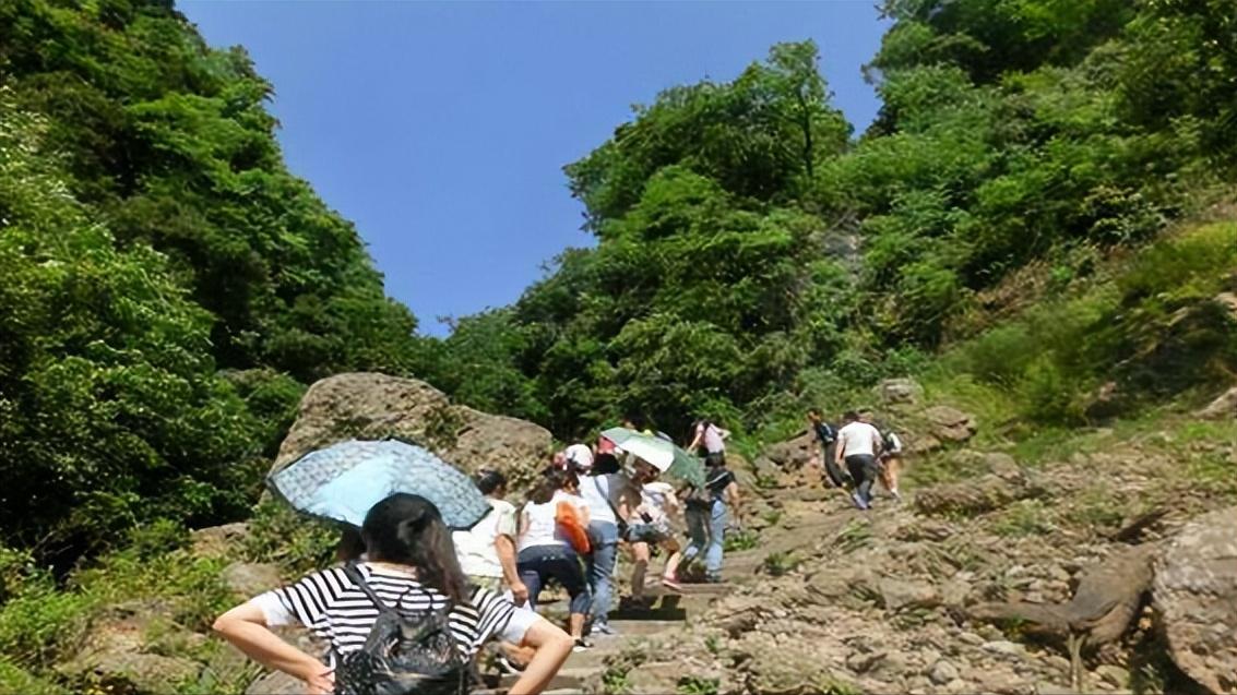 一顿饭吃掉32万天价账单,一顿饭吃掉40万元