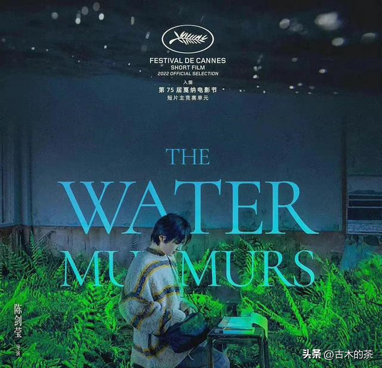 华为二公主姚安娜别墅,华为公主姚安娜现状