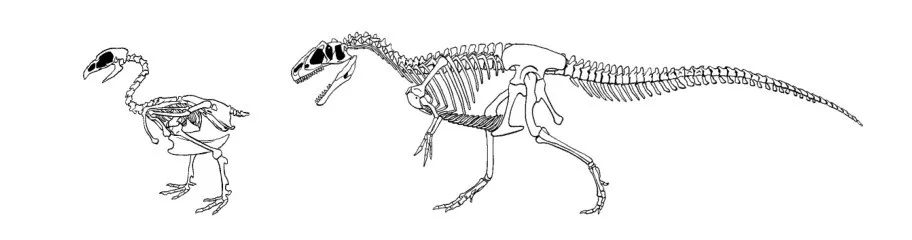 史上经典好莱坞大片,好莱坞史上最经典的大片