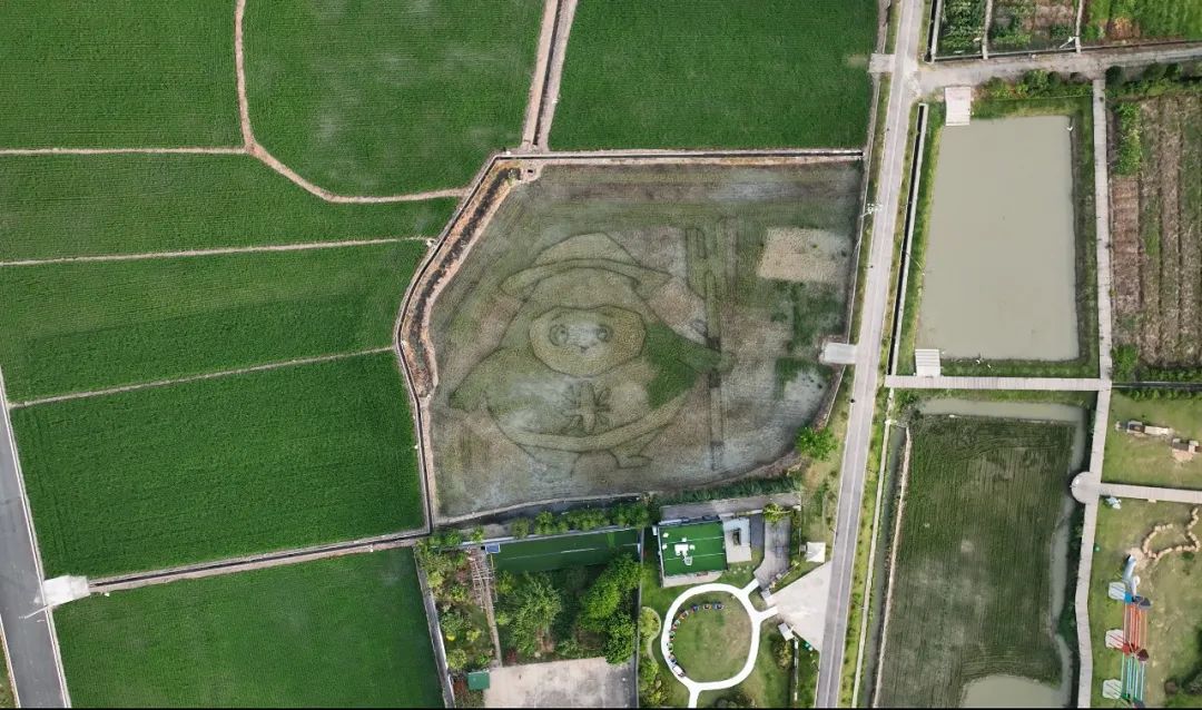 乡村振兴100讲全集,100个经典乡村振兴案例