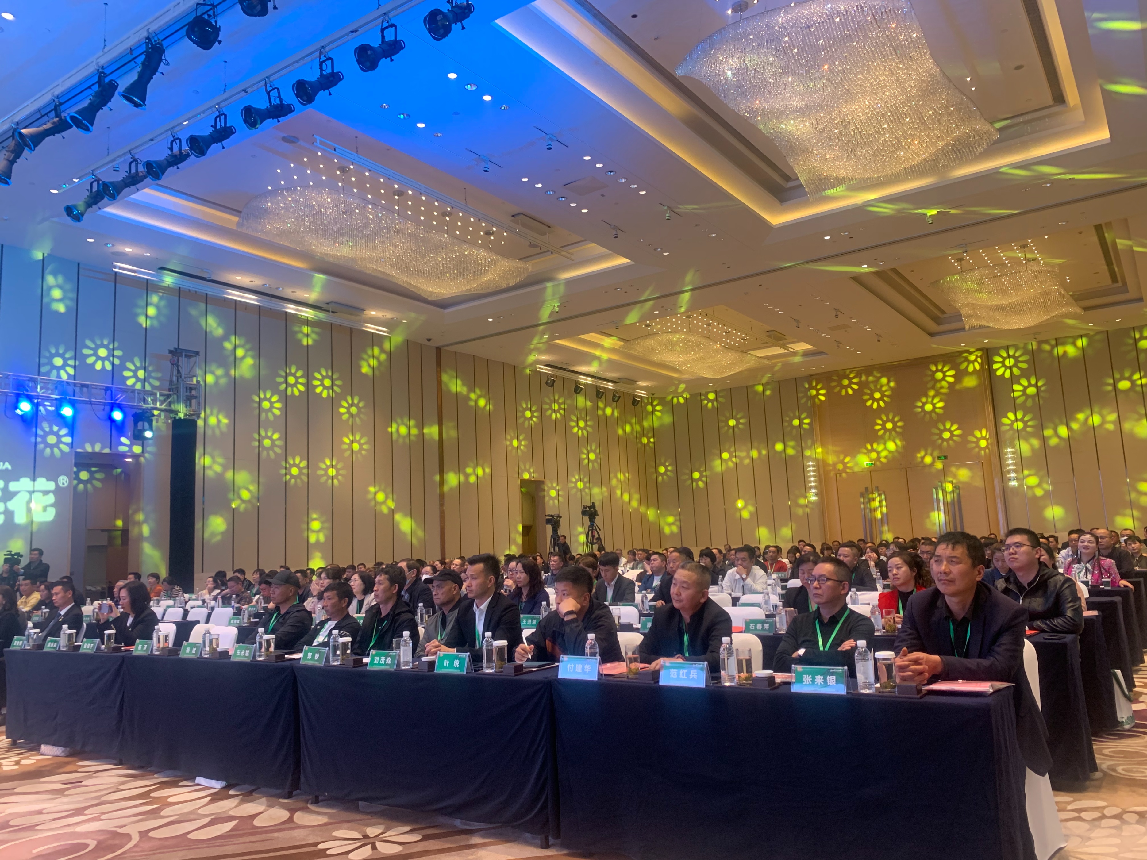 云南金丰汇油脂2020经销商大会,金丰汇油脂云南