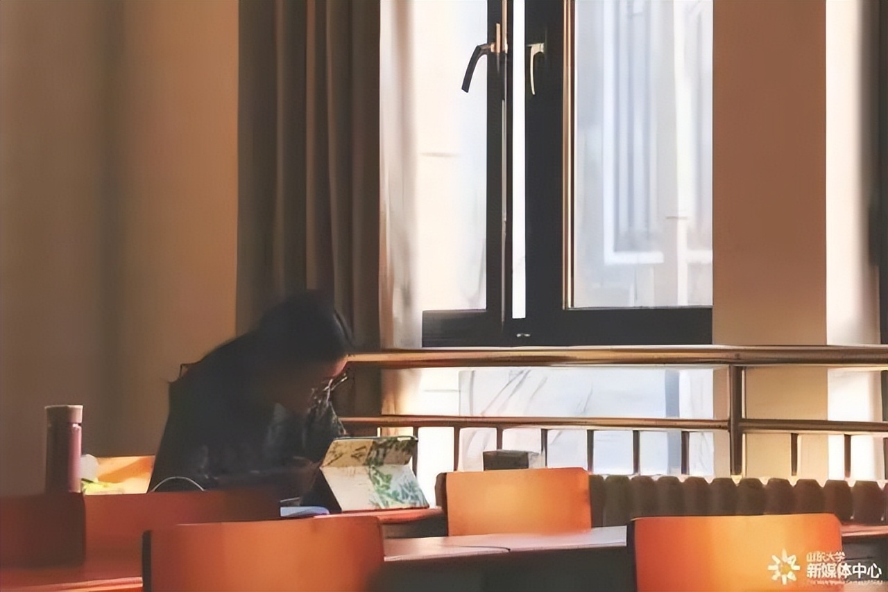 山大树洞：所有的心事，都说给你听