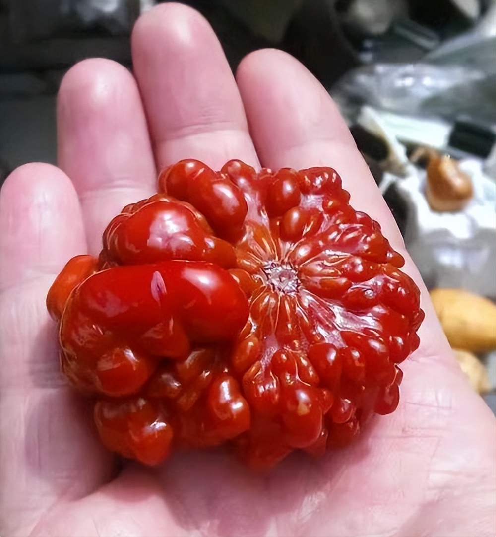 葫芦案真实案件,葫芦案事件始末