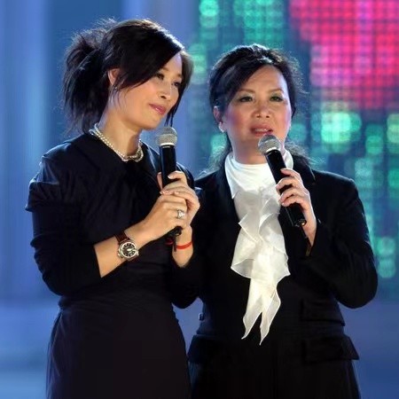 那英高峰有孩子吗,那英和高峰有孩子了吗