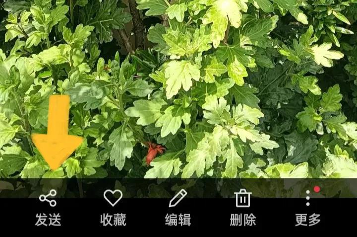 微信朋友圈怎么打开使用,微信朋友圈使用技巧大全图解