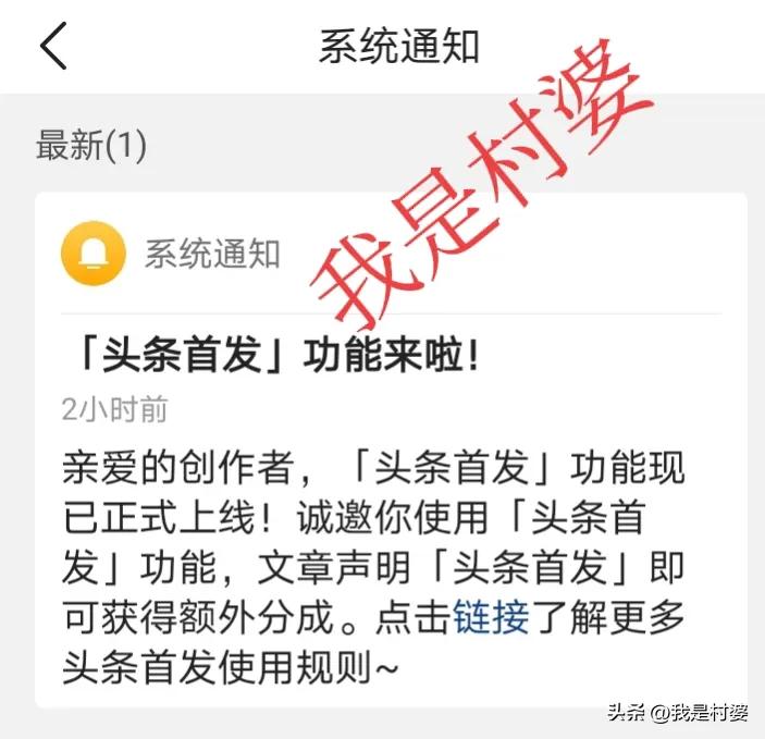 52岁农村阿姨，在头条开通文章首发功能，获得额外分成