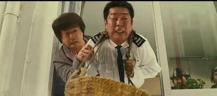 8090年代香港好看的经典喜剧,新年香港经典喜剧片