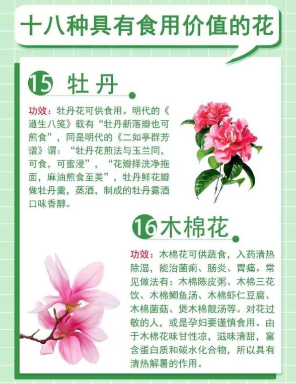 18种最漂亮的花草,18种必养的花