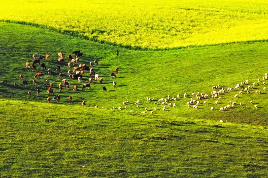 良心推荐夏日风光绝美的避暑胜地,夏季避暑胜地推荐4天