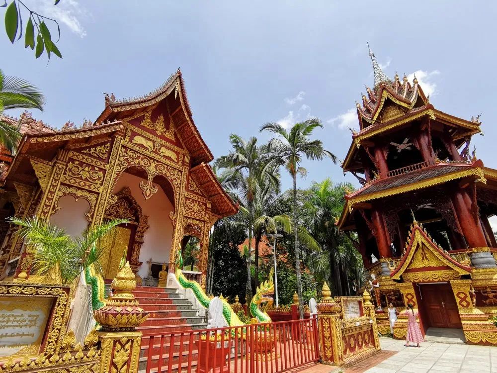 云南西双版纳热带雨林气候,云南的西双版纳冬天依旧色彩绚烂