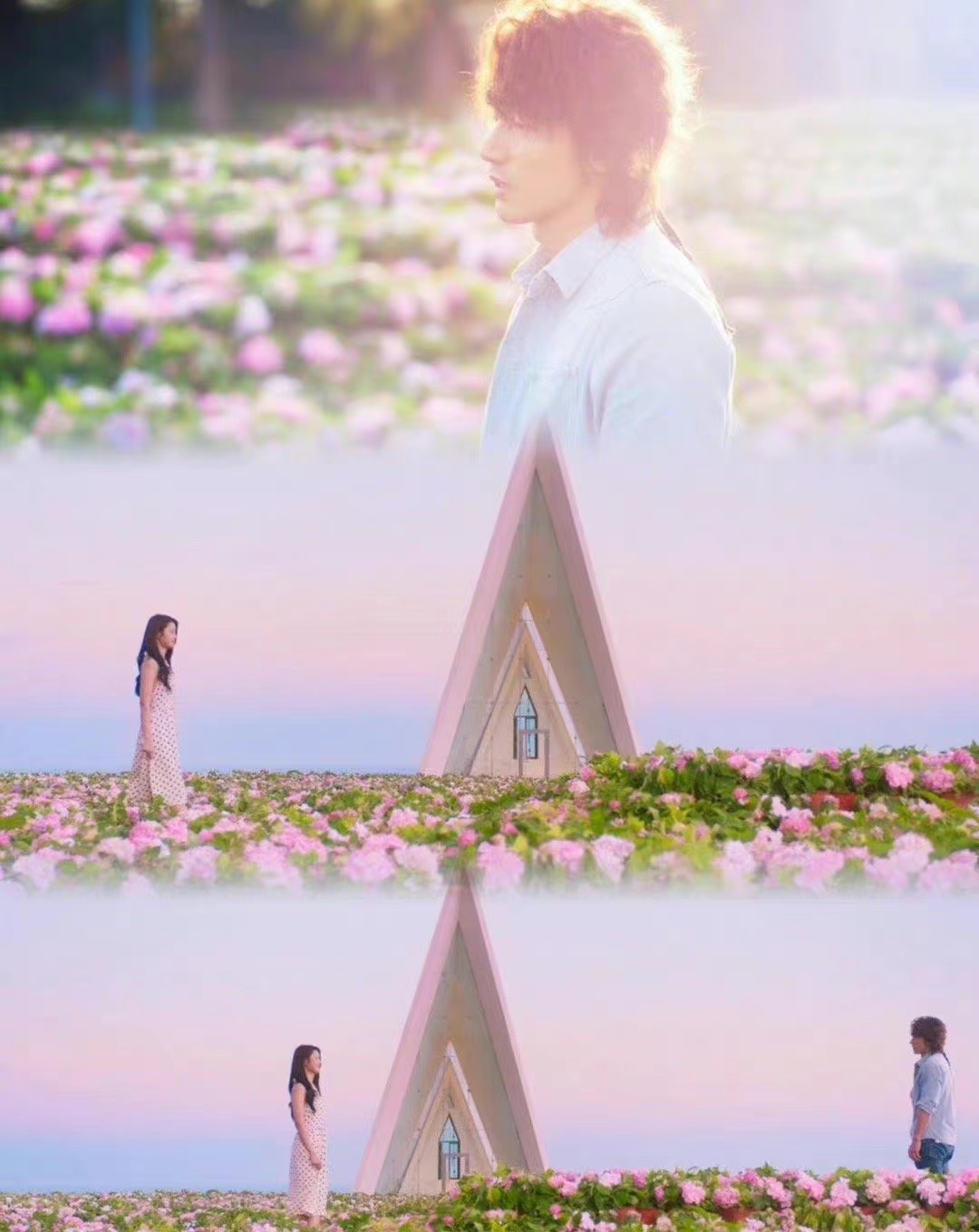 生如夏花之绚烂整首诗,生如夏花之绚烂死如秋叶静美英文