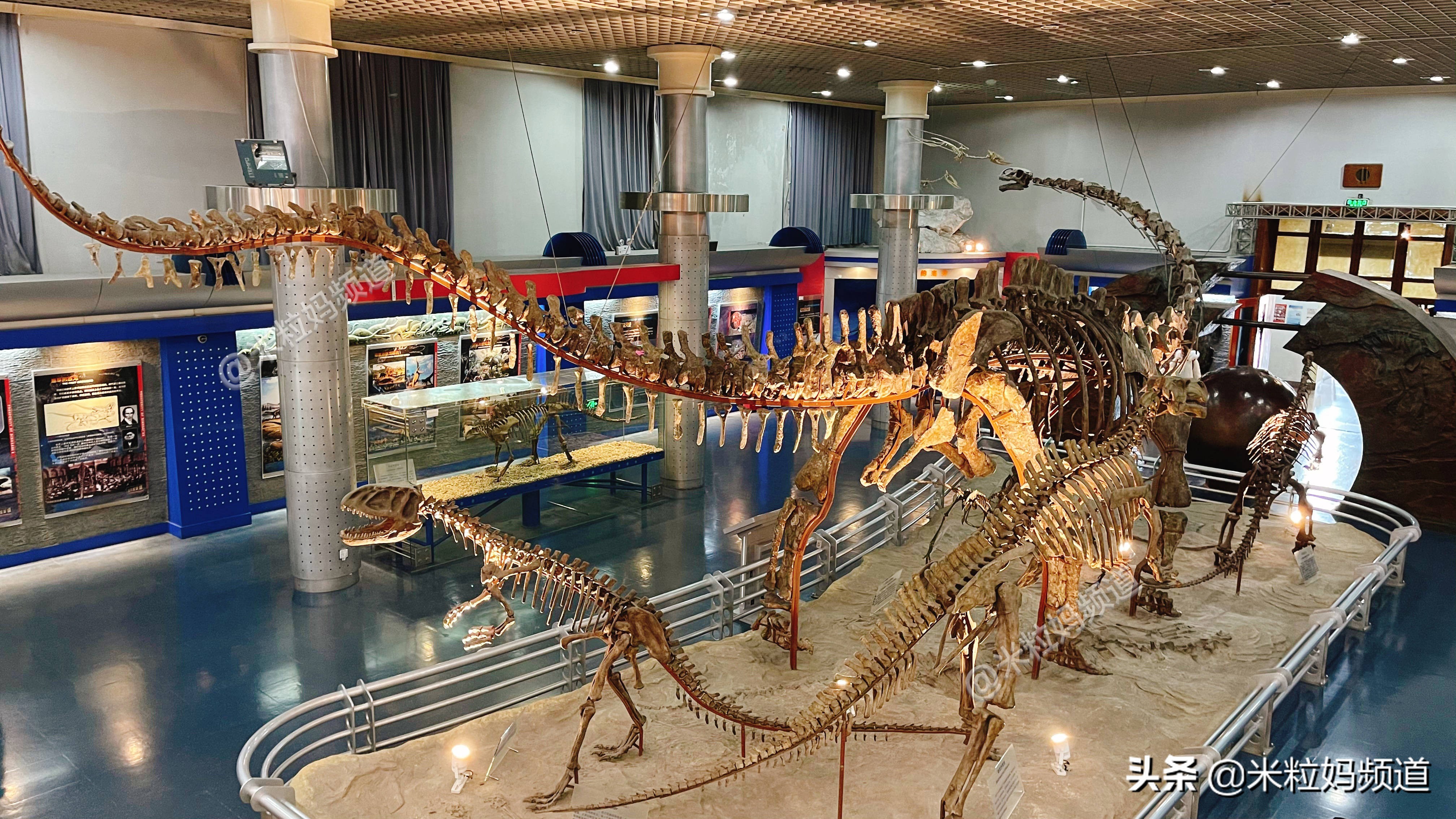 “从农村到985硕博，好不容易跻身中产，孩子却说不想上学……”